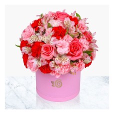 Magenta Color Box